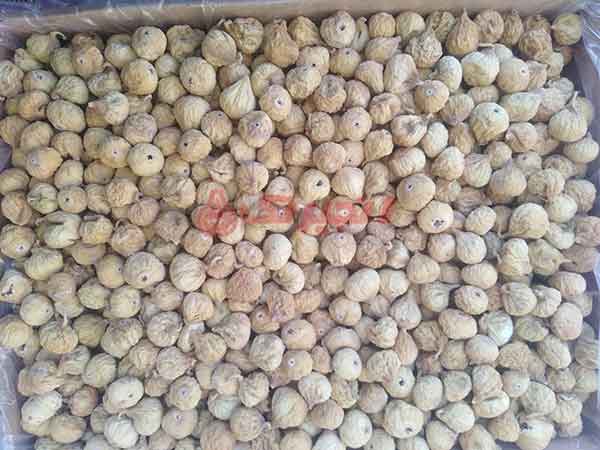انجیر میوه ای است که نسبت به محصولات تابستانی، از قیمت بالاتری برخوردار است. در پاسخ به سوال انجیر کیلویی چند؟ لازم به ذکر است، نژاد ، سایز و میزان تازگی و کیفیت میوه باید بررسی گردد. خرید انجیر تازه در تابستان صورت گرفته و انجیرهای خشک در فصل های دیگر نیز خرید و فروش میشود. میوه های خشک از قیمتی به ...
